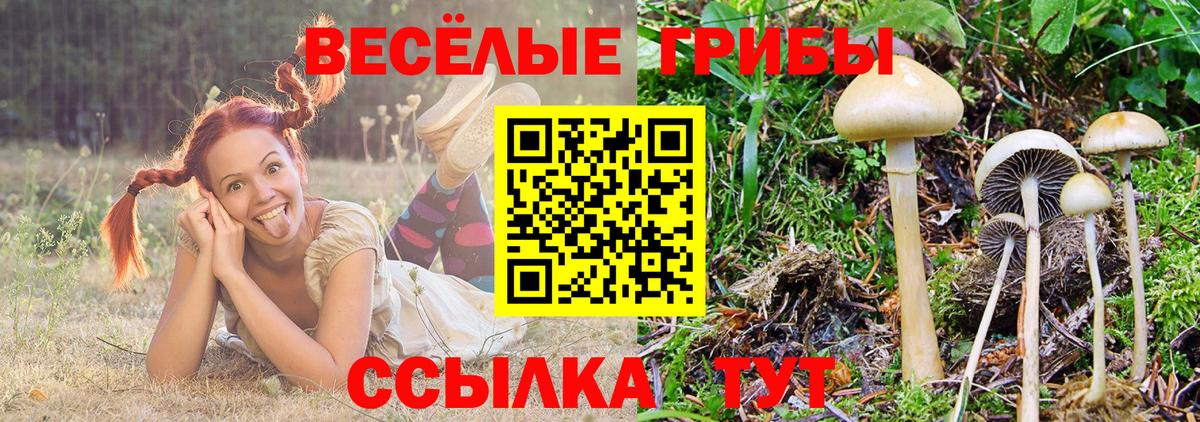 Псилоцибиновые грибы MAGIC MUSHROOMS Урюпинск